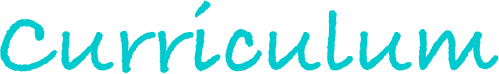 Curriculum